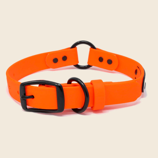 Blaze Dog Collar