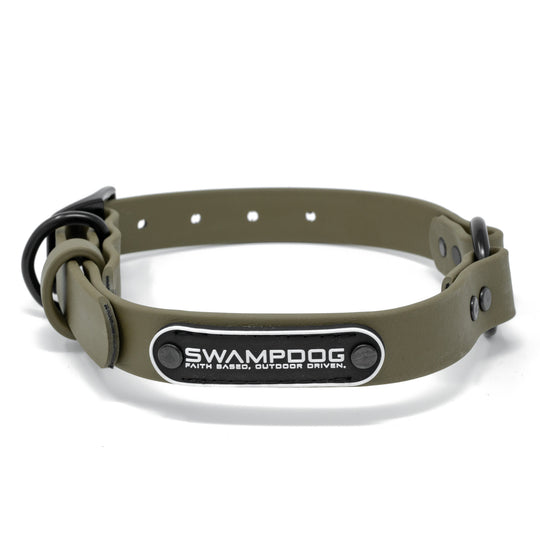 Timber Green Dog Collar