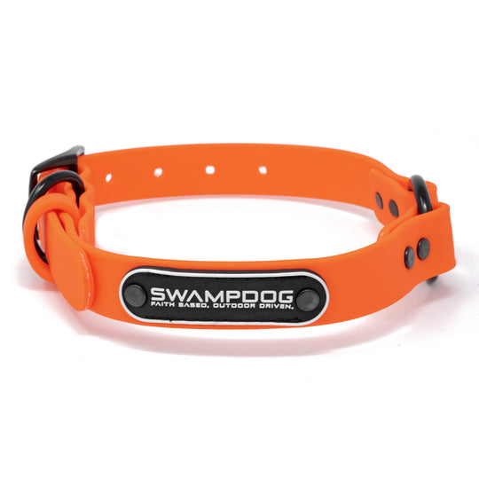Blaze Dog Collar
