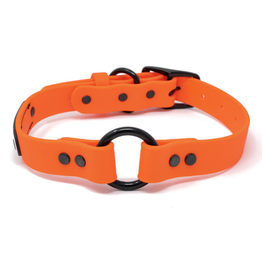 Blaze Dog Collar