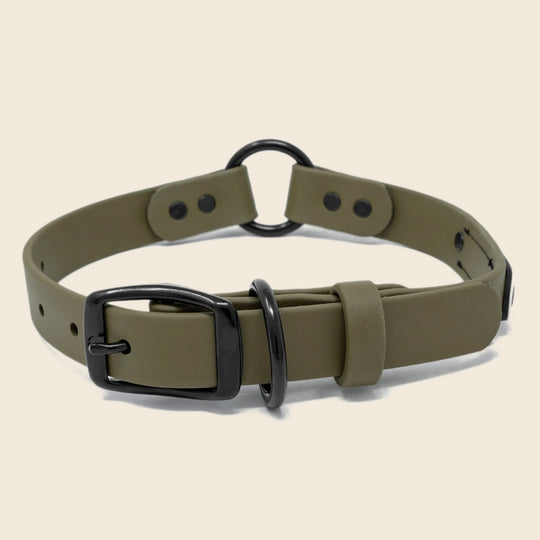 Timber Green Dog Collar