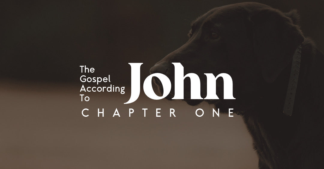 The Gospel According to John: Chapter 1