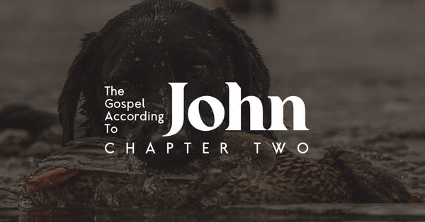 The Gospel According to John: Chapter 2