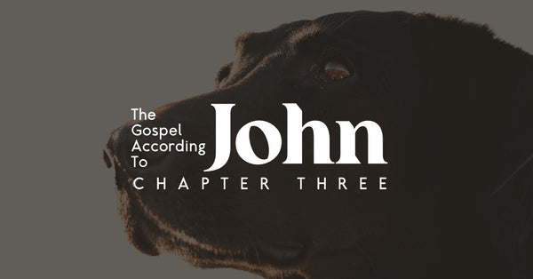 The Gospel According to John: Chapter 3