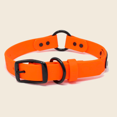 Blaze Dog Collar